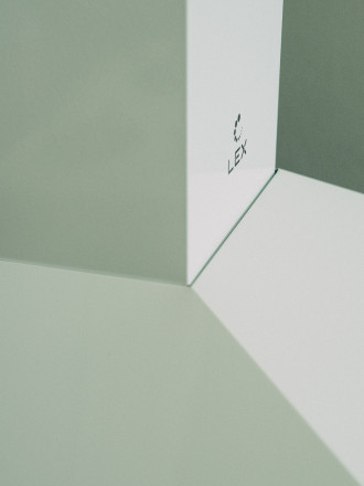 Кухонная вытяжка LEX BASIC 600 WHITE